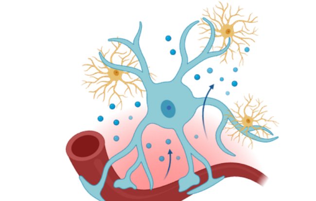 Artwork for The Limits of Epilepsy Treatment