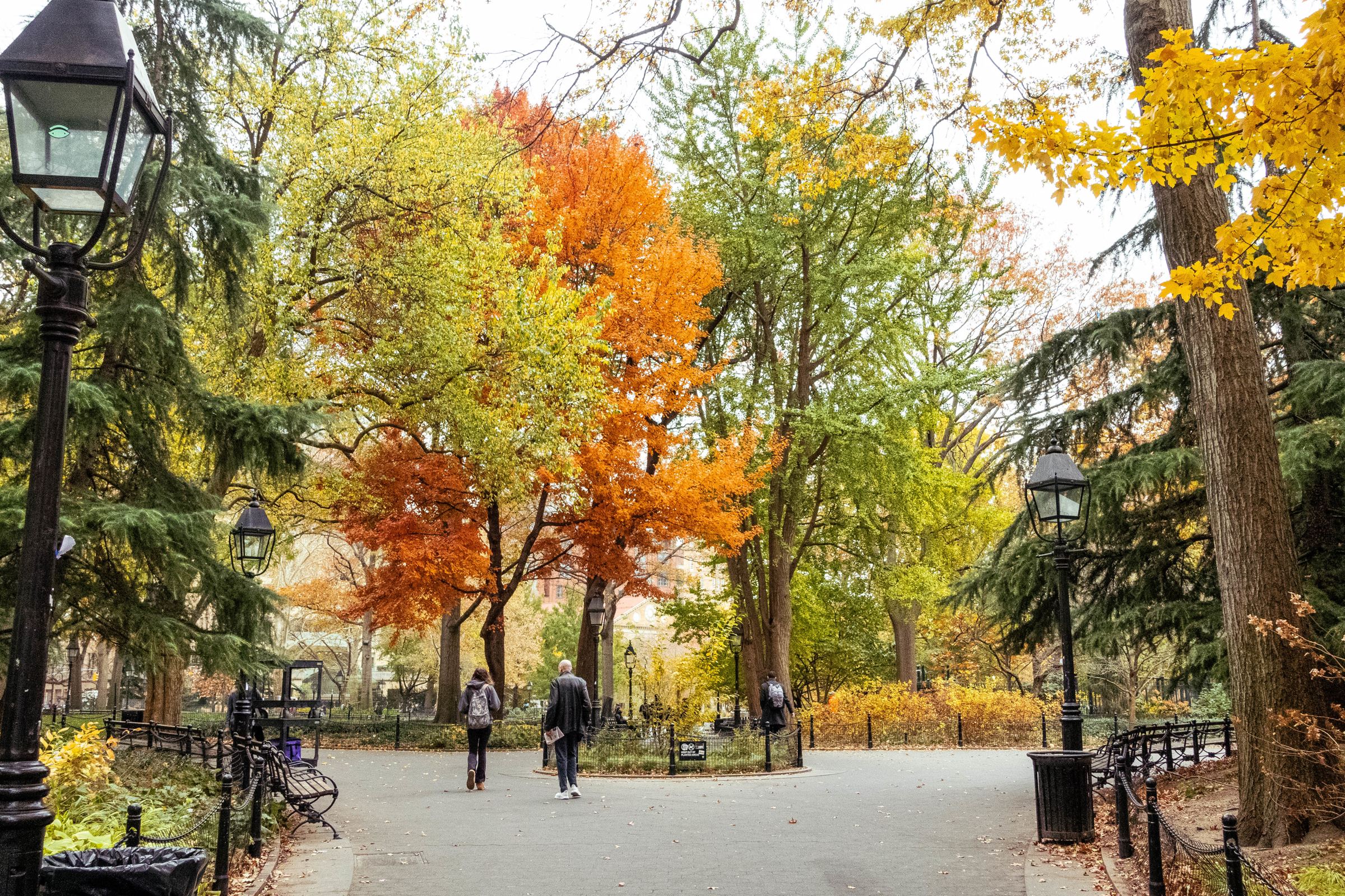 Washington Square Park in autumn